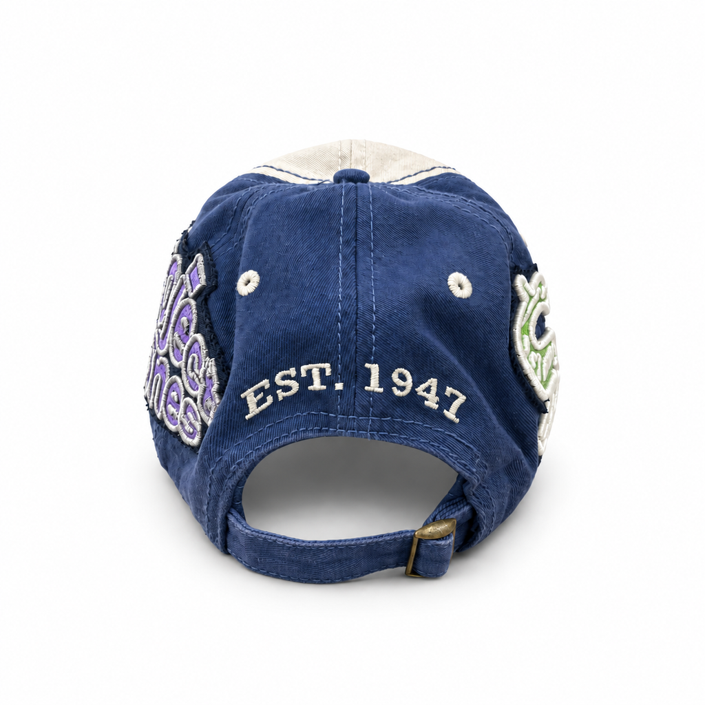 Project Bones “Bad Financial Decisions” Reworked Blue Cap